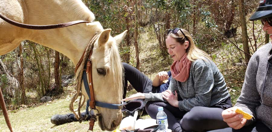 Cusco: Half-Day Horseback Riding at Devil's Balcony - Why this ride is a smart break from central Cusco