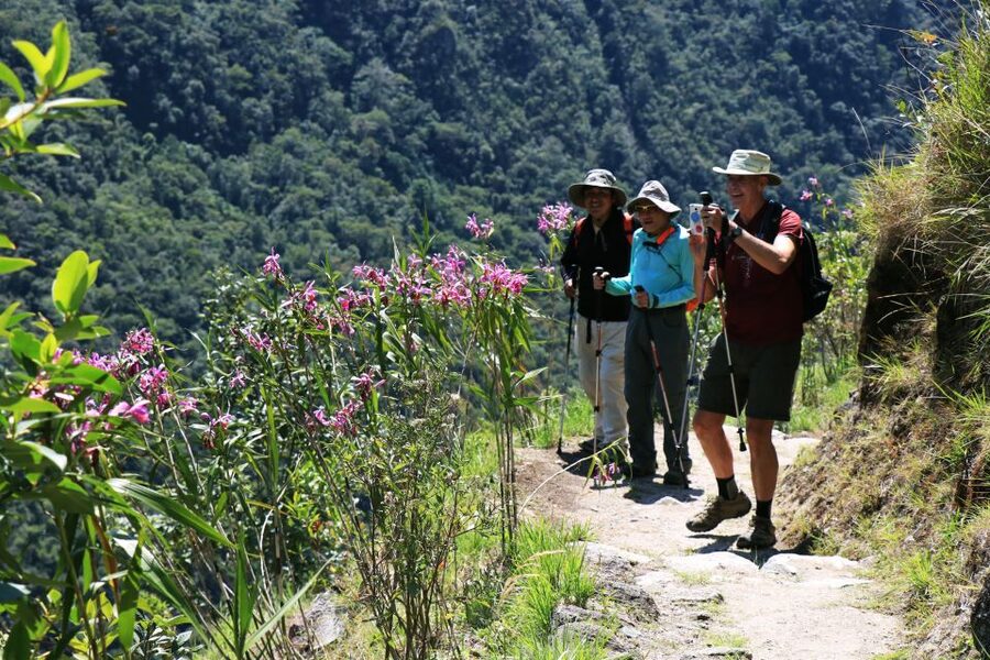 Cusco: Machu Picchu 2-Day Inca Trail with Panoramic Train - Aguas Calientes: useful rest, not a luxury night