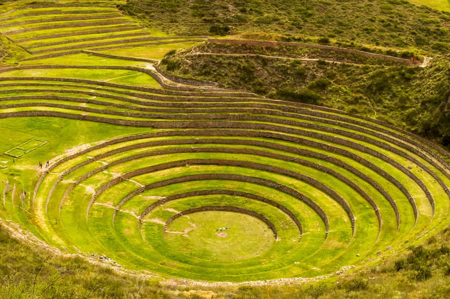 Cusco: Maras and Moray Tour ending in Ollantaytambo - Pickup, pace, and what to bring