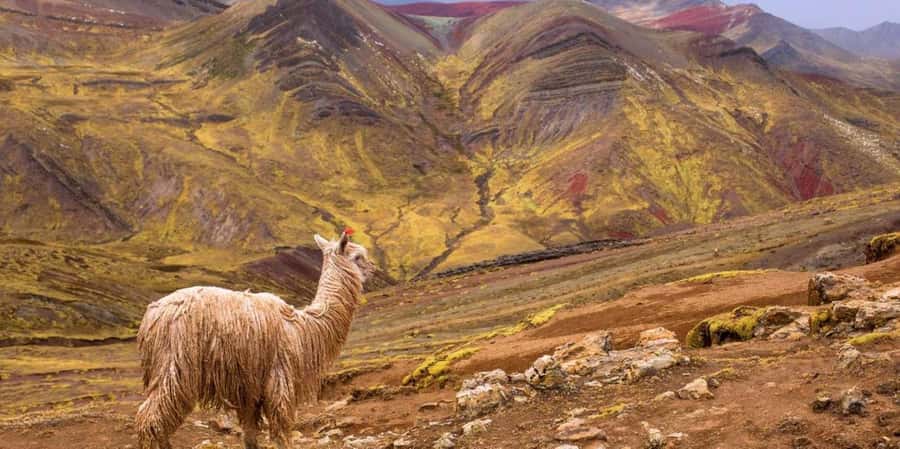 Cusco : Palcoyo - Rainbow Mountain Hidden Sister - Key points to know before booking
