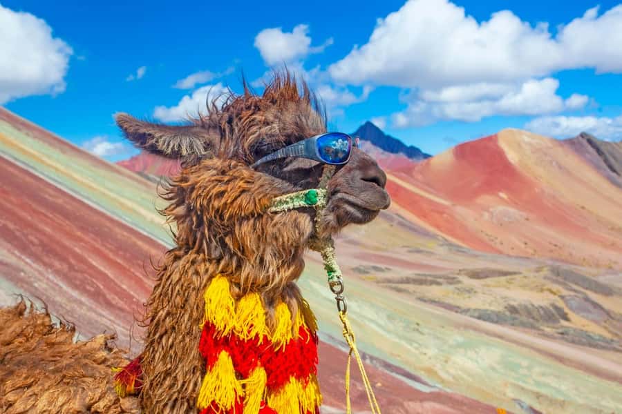Cusco : Rainbow Mountain and Red Valley Tour - Why Rainbow Mountain is worth the hard morning