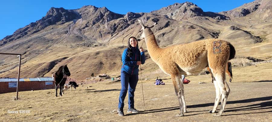Cusco: Rainbow Mountain & Red Valley Tour with Picnic meals - The long ride back to Cusco