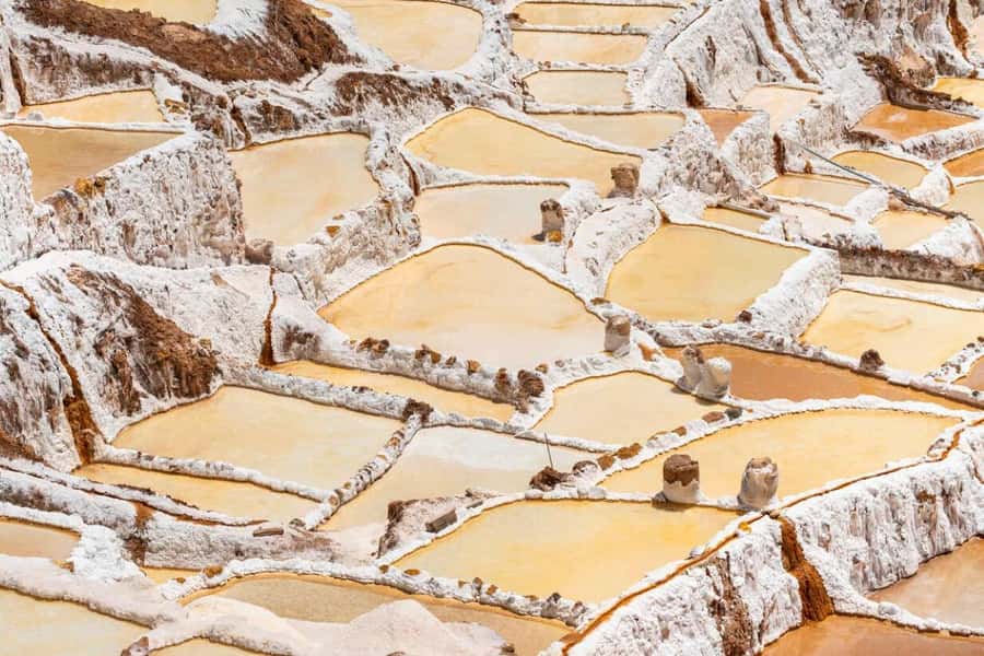 Cusco: Sacred Valley, Pisac, Ollantaytambo, Salt Mines Moray - Transport, timing, and the real level of effort