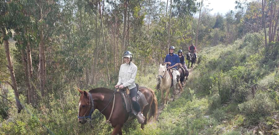 Cusco: Sacsayhuaman Guided Tour and 1-Hour Horseback Ride - Why combine Sacsayhuaman with horseback riding?