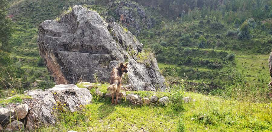 Cusco: Sacsayhuaman Guided Tour and 1-Hour Horseback Ride - One hour on horseback near Sacsayhuaman