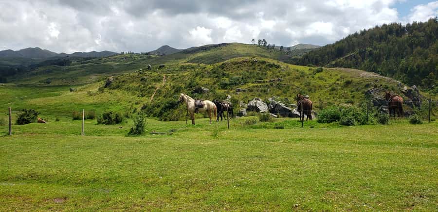 Cusco: Sacsayhuaman Guided Tour and 1-Hour Horseback Ride - Who should book this Cusco tour?