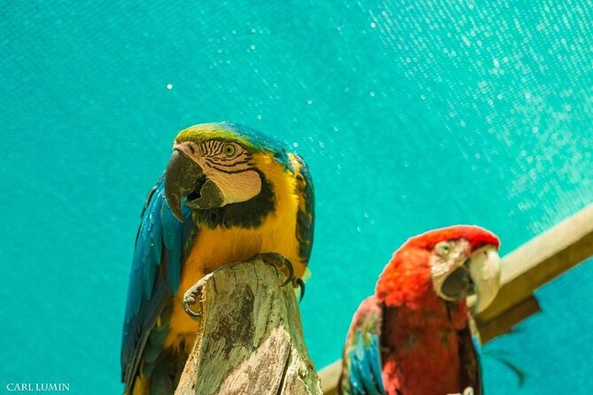 Cusco Santuario de Animales Rescatados en Cusco - Transport from Cusco and the flexible return
