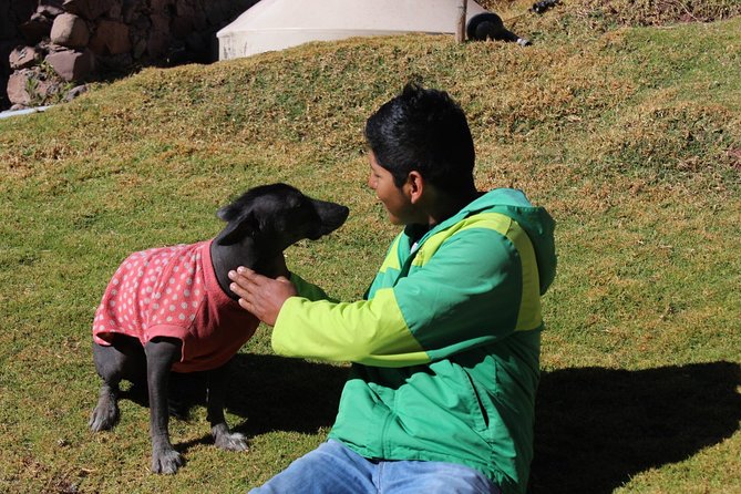 Cusco Santuario de Animales Rescatados en Cusco - The ethical side of the experience