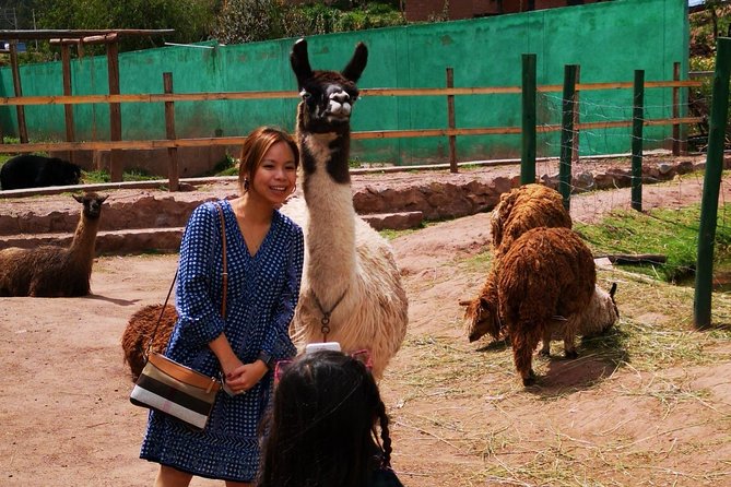 Cusco Santuario de Animales Rescatados en Cusco - Is $34 a fair price?