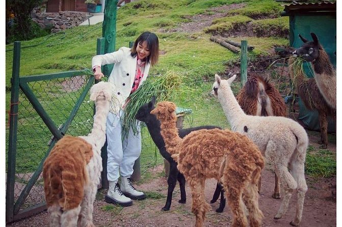 Cusco Santuario de Animales Rescatados en Cusco - Who will enjoy this visit most?