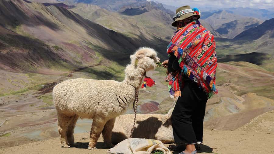 Cuzco: Rainbow Mountain Excursion - Practical details for a smoother day