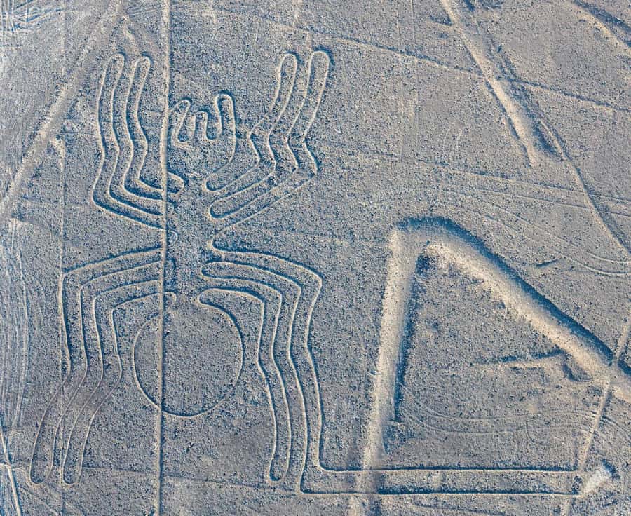Discover Paracas, Ica and Nasca in a 2 days and 1 night trip - Who should book this two-day route?