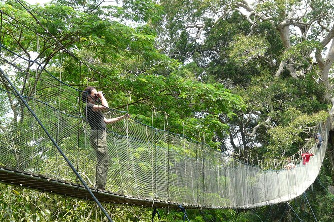 Eco Jungle 3 Days - 2 Nights - What the $240 price really buys you