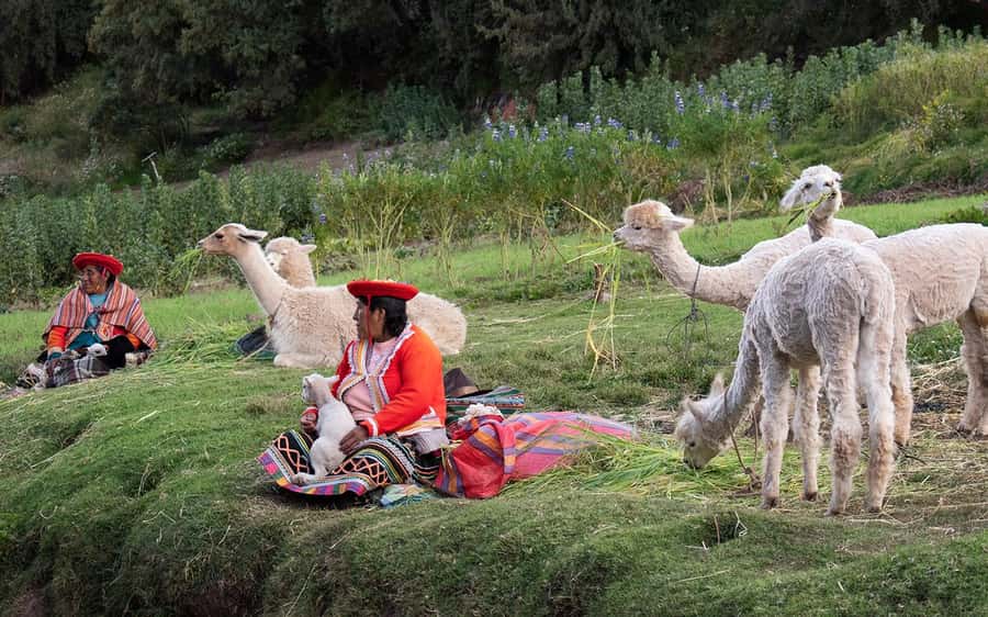 ECONOMIC PRIVATE TOUR IN THE CITY OF CUSCO - HALF DAY - Returning to Cusco after the sites