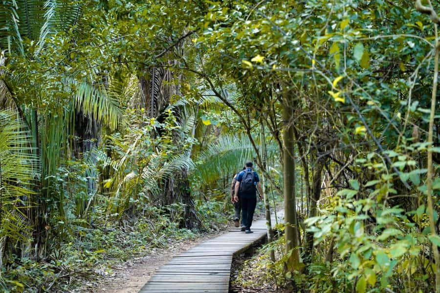 Excursion 2 days/1 nights in the jungle: Tambopata - Key points at a glance