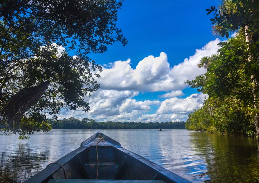 Excursion 3 days/2 nights in the jungle - The lodge: comfort with a few jungle compromises