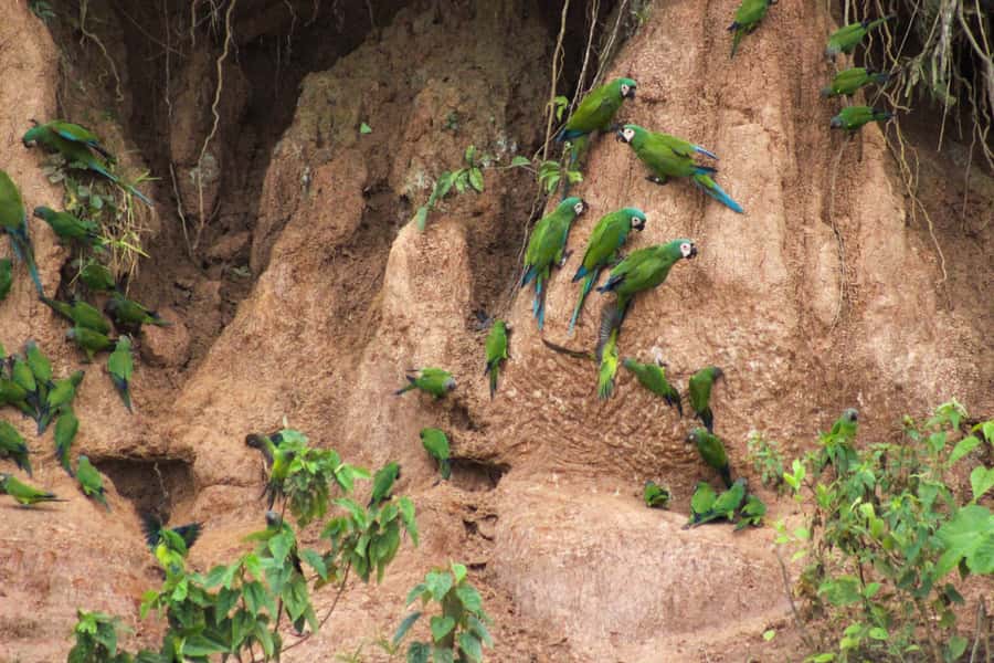 Excursion 3 days/2 nights in the jungle - Should you book it?
