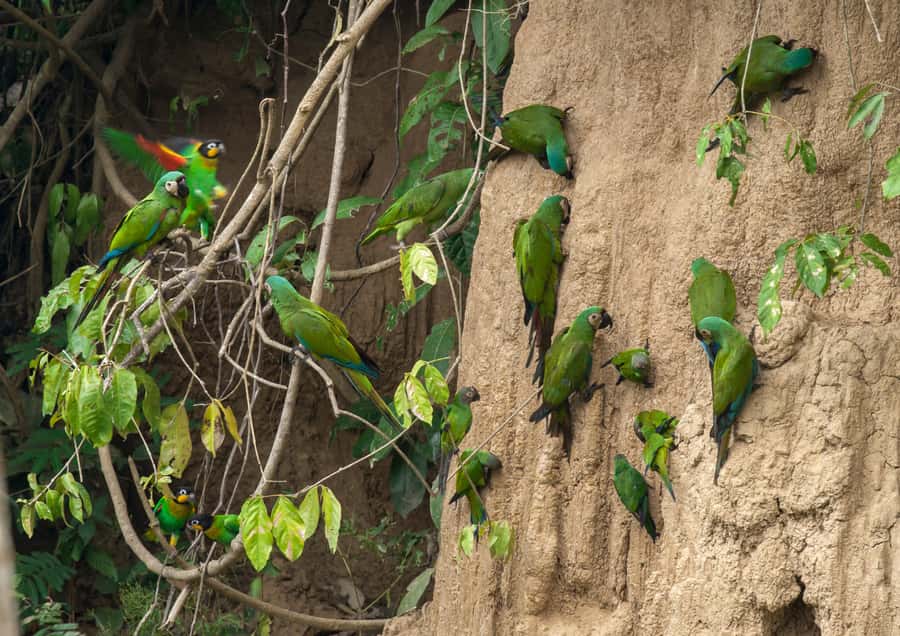 Excursion 3 days/2 nights in the jungle - FAQ