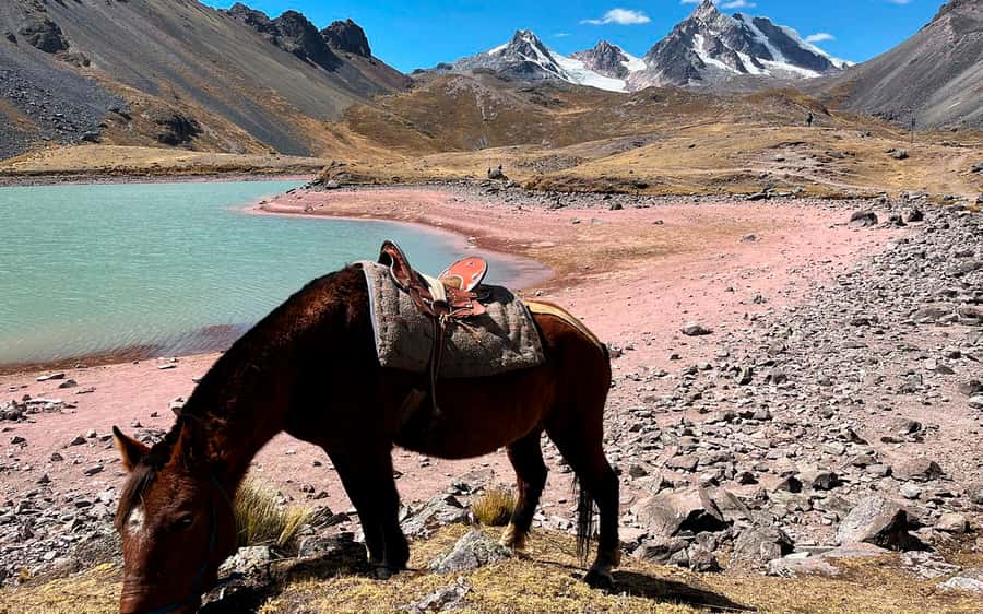 Excursion: Explore in one day the 7 lakes of Ausangate from Cusco - Walking the trail past seven lagoons