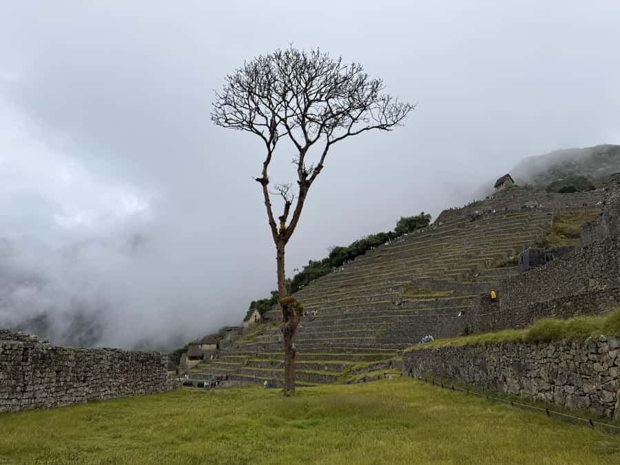 Excursion from Cusco to Machu Picchu + Entrance Tickets Incl - Aguas Calientes and the 30-minute bus to the ruins