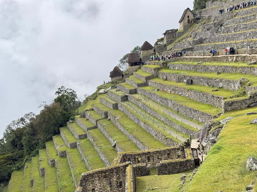 Excursion from Cusco to Machu Picchu + Entrance Tickets Incl - Who should book this Cusco day trip