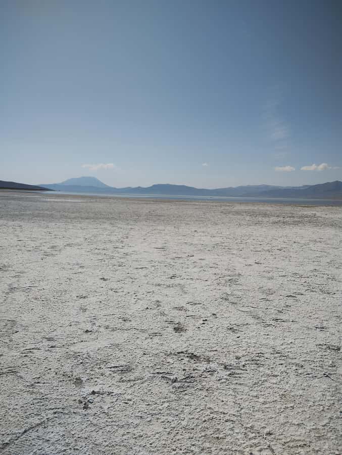 Excursion: Lagoon and National Reserve of Salinas and Aguada Blanca in Arequipa. - The early start from Arequipa