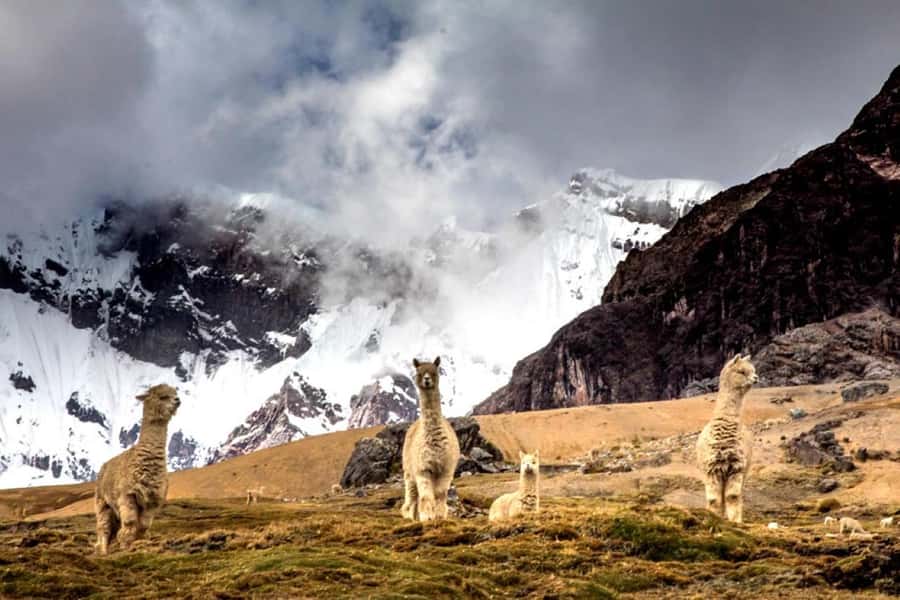 Excursion: Rainbow Mountain and Ausangate 7 Lagoons 2 days - FAQ