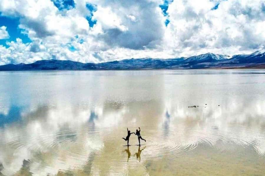 Excursion Salinas Lagoon and National - Why Salinas Lagoon Makes a Good Half-Day From Arequipa