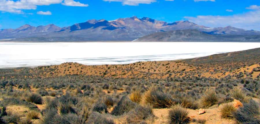 Excursion Salinas Lagoon and National - The 6:00 a.m. Departure From Arequipa