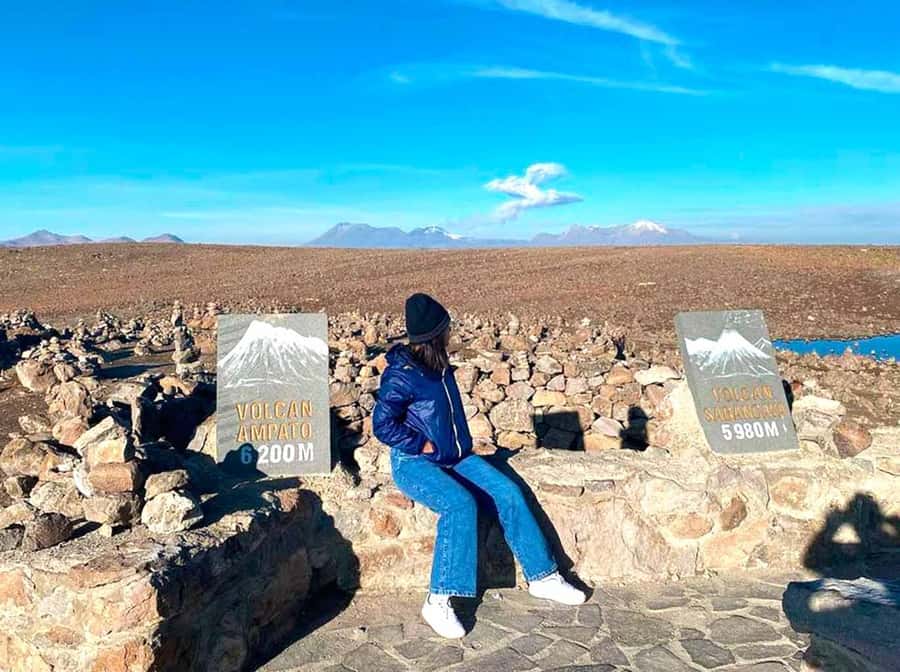 Excursion Salinas Lagoon and National - Camelids and High Andean Birds at 11:00 a.m.