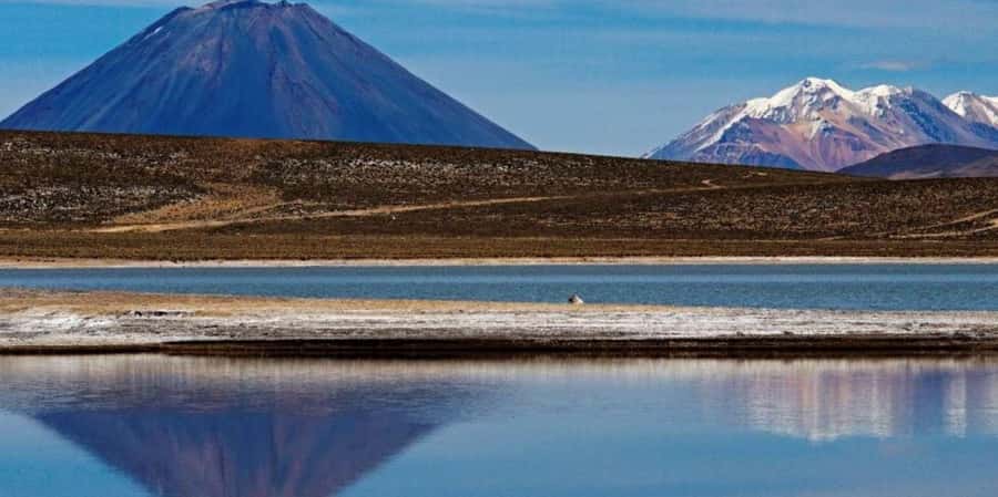 Excursion Salinas Lagoon and National - Chiguata and the Volcano Viewpoint
