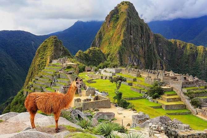 Excursion to MachuPicchu from Cusco with lunch | Private Service| - Key points to know before booking