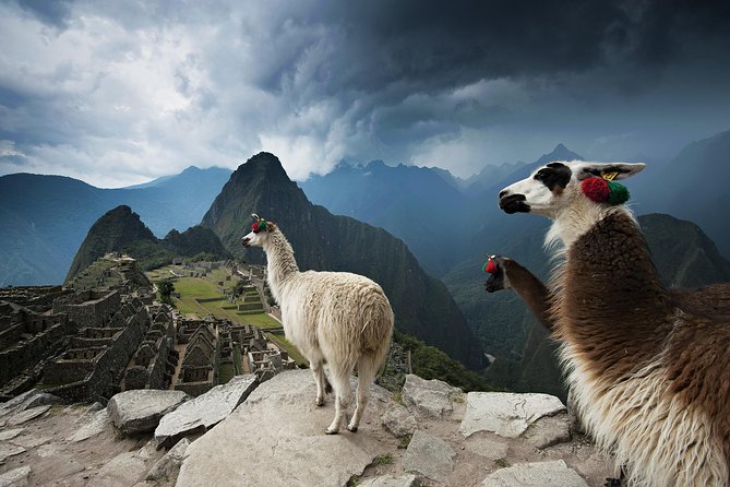 Excursion to MachuPicchu from Cusco with lunch | Private Service| - A 15-hour Machu Picchu day from Cusco