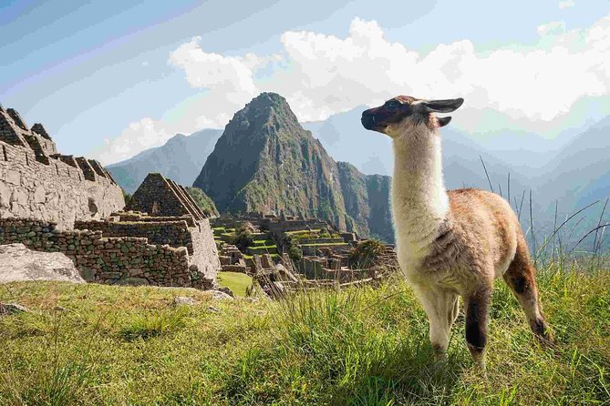 Excursion to MachuPicchu from Cusco with lunch | Private Service| - What private service really means here