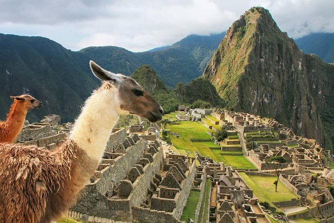 Excursion to MachuPicchu with Train Vistadome Full Day - Entering Machu Picchu on a guided visit