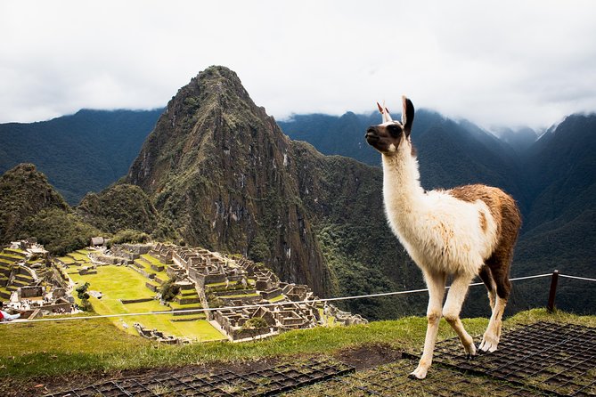 Excursion to MachuPicchu with Train Vistadome Full Day - The return journey and the long ride home