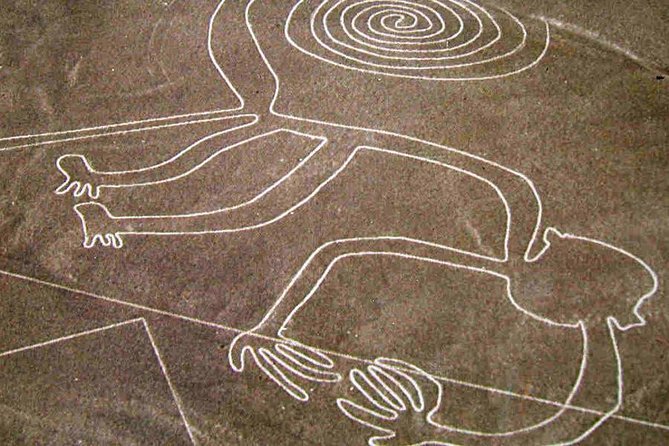 Flight Over the Nazca Lines from Pisco + Huacachina Oasis - What your guide adds between the headline sights
