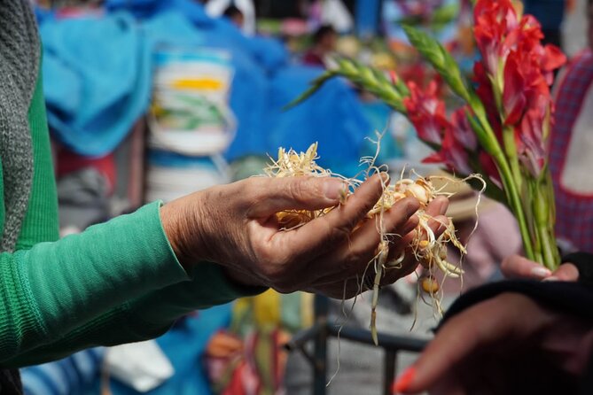 Food and Culture Full day Tour in the Sacred Valley - Key points to know before booking