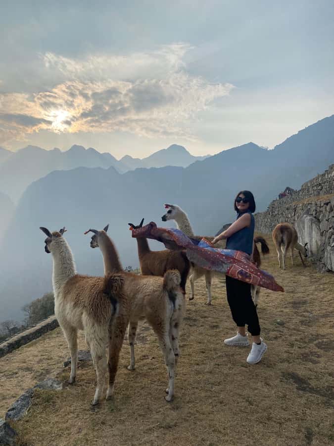From Aguas Calientes: Machu Picchu guided tour with tickets - Key points to know before booking