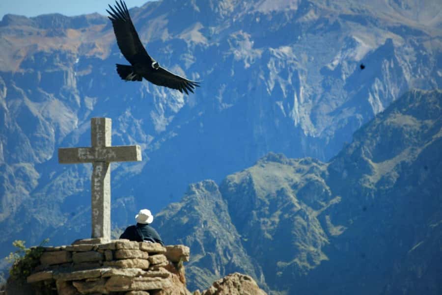 From Arequipa: 1 Day Tour to the Colca Canyon + Buffet lunch - A very early start for a very big canyon