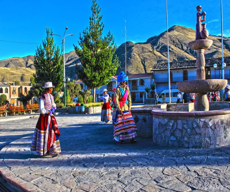From Arequipa: 2-Day Colca Canyon Tour with Transfer to Puno - Who should book this Colca Canyon tour
