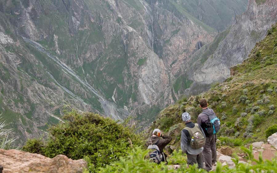 From Arequipa: 2-Day Colca Canyon Trekking Tour - What the two-day Colca Canyon trek is really like