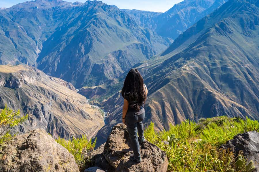 From Arequipa: 2-Day Colca Canyon Trekking Tour - What the guides add to the walk