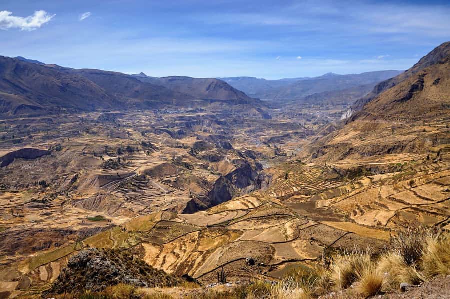 From Arequipa: Colca Canyon and Condor Watching Day Trip - The 3:00 am departure from Arequipa