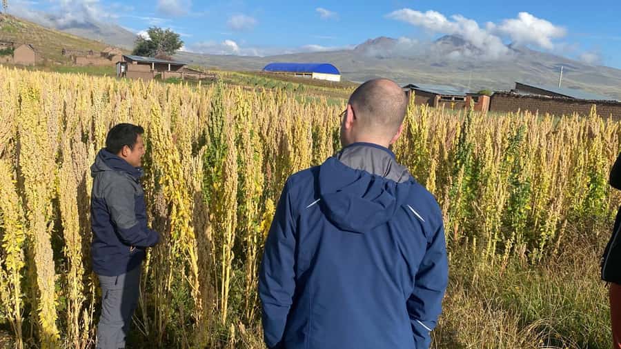 From Arequipa: Colca Canyon Day Trip with Transfer to Puno - Alto Lagunillas before the final drive