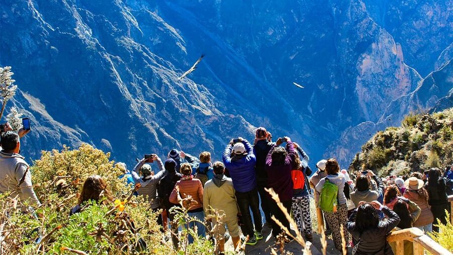 From Arequipa: Colca Canyon Day Trip with Transfer to Puno - Terraces, old villages, and the Colca River
