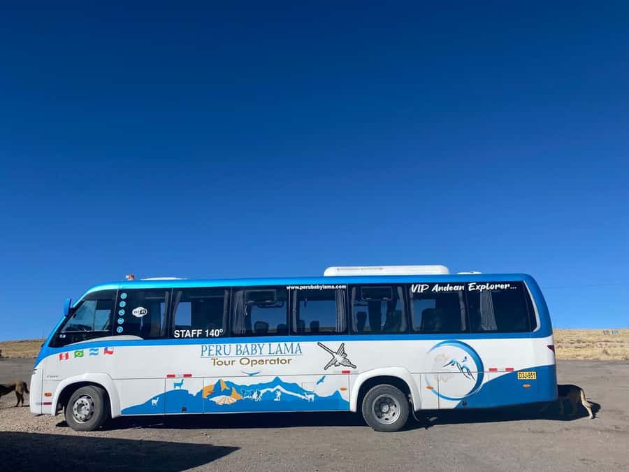From Arequipa: Colca Canyon Day Trip with Transfer to Puno - Maca, local snacks, and a short village stop