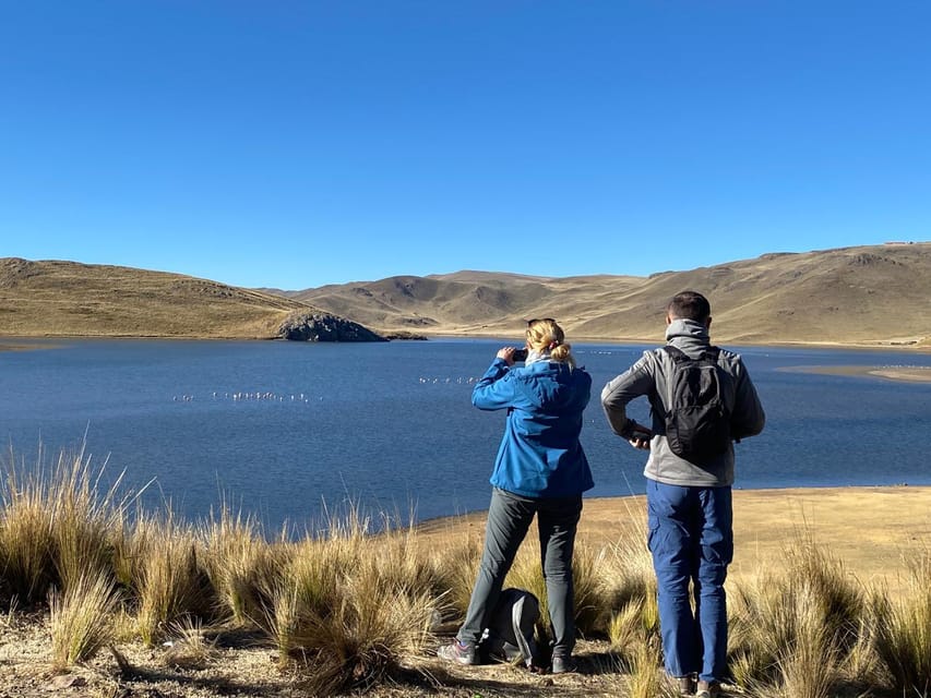 From Arequipa: Colca Canyon Day Trip with Transfer to Puno - Chacapi Hot Springs, a welcome hour in the water