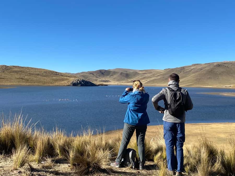 From Arequipa: Colca Canyon Day Trip with Transfer to Puno - Chivay lunch and regional food