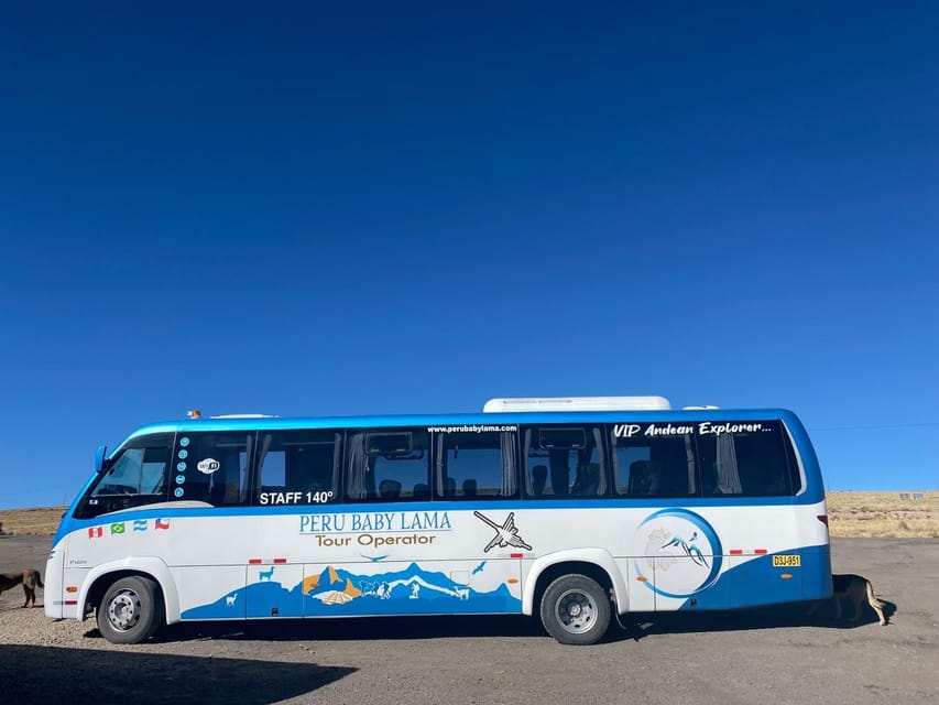 From Arequipa: Colca Canyon Day Trip with Transfer to Puno - High Andes wildlife at Salinas and Aguada Blanca